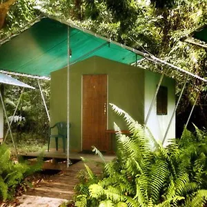 Jungle ** Cape Tribulation